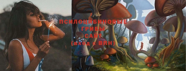 прущие грибы Баксан