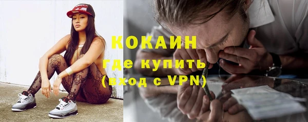 прущие грибы Баксан
