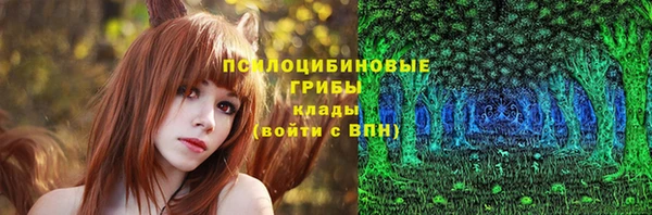 прущие грибы Баксан